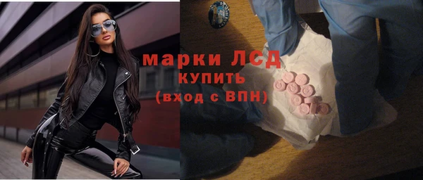 стафф Алзамай