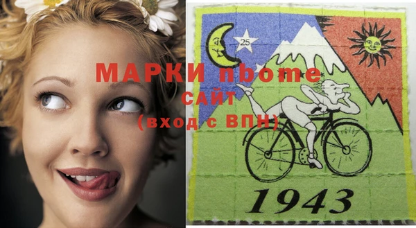 стафф Алзамай